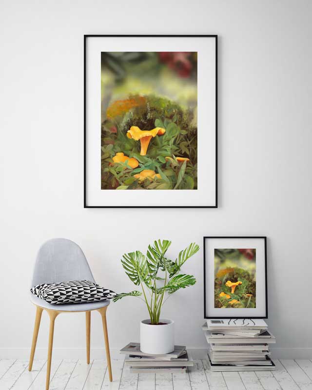Kantareller 42x60