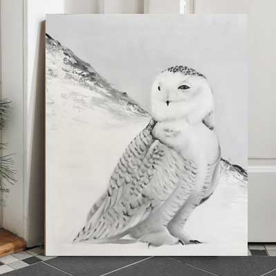 36x43