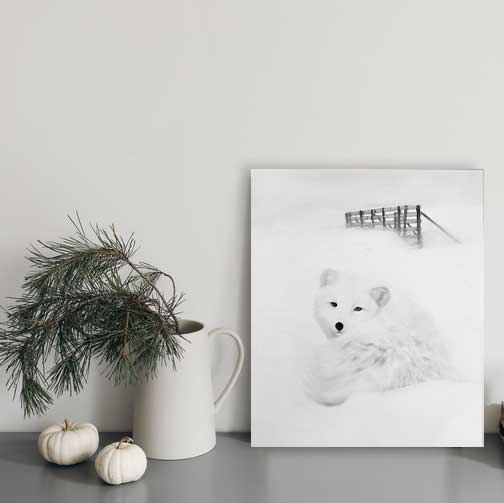 Arctic Fox l