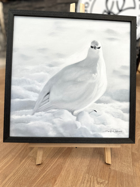 38x38
