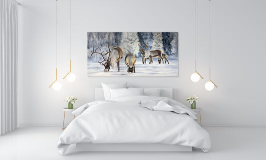 Renar i Vinterljus no1