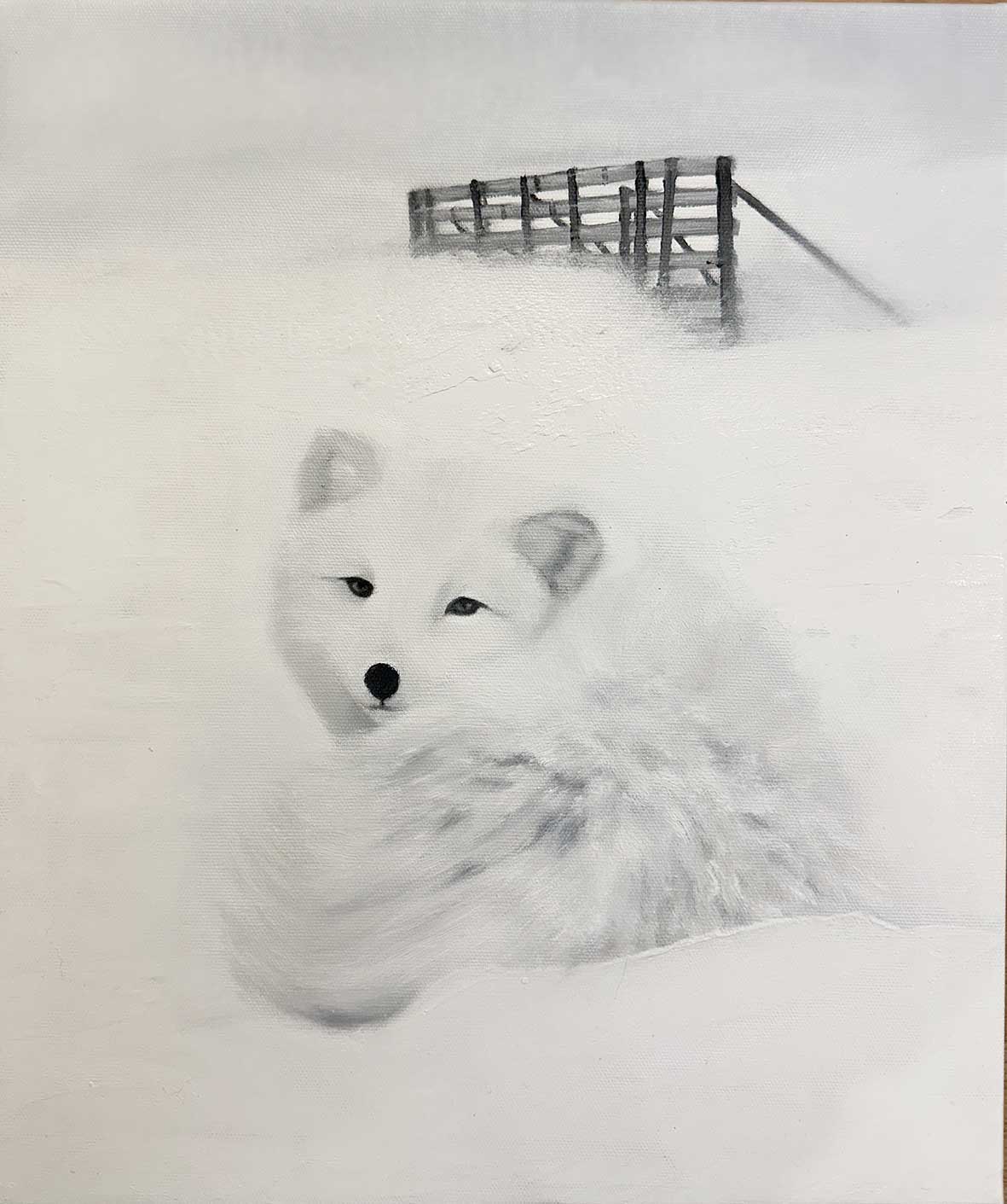 Arctic Fox l