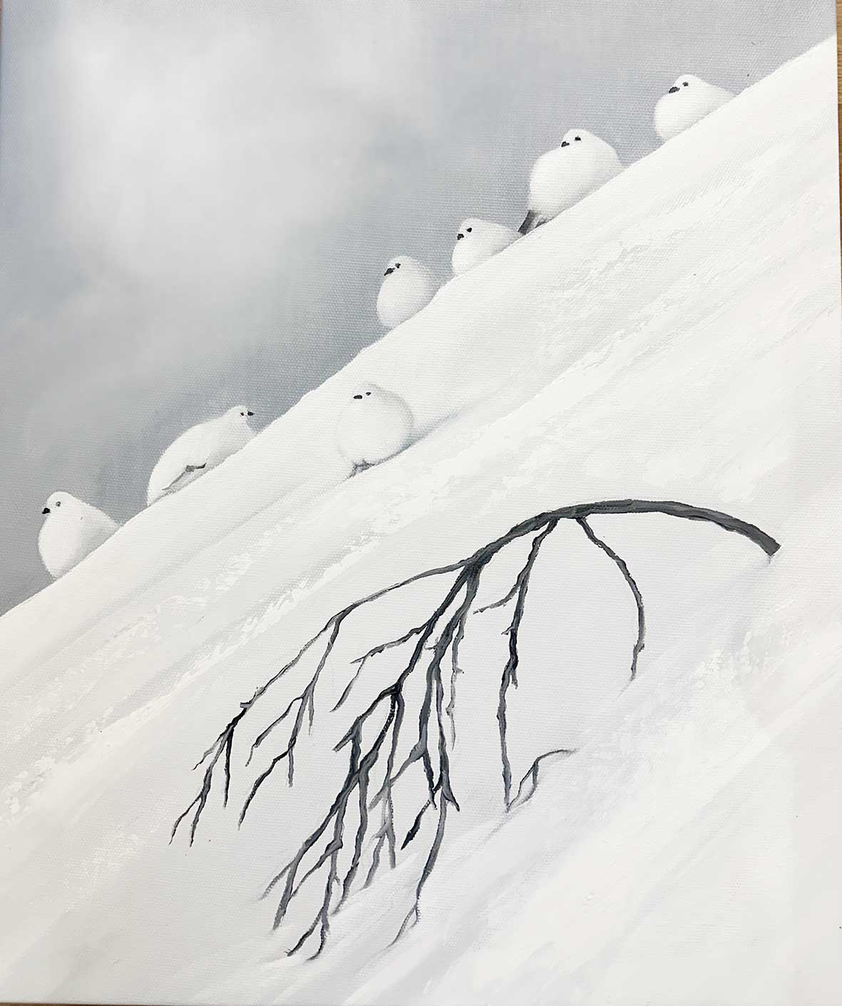 36x43