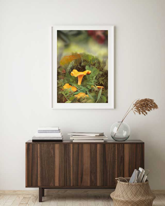 Kantareller 42x60