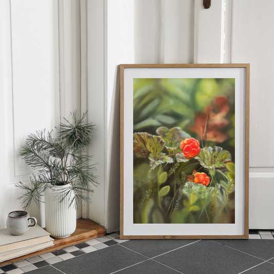 Hjortron 42x60