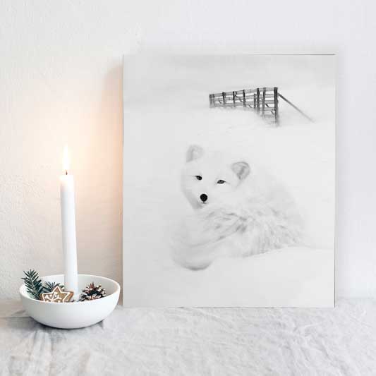Arctic Fox l