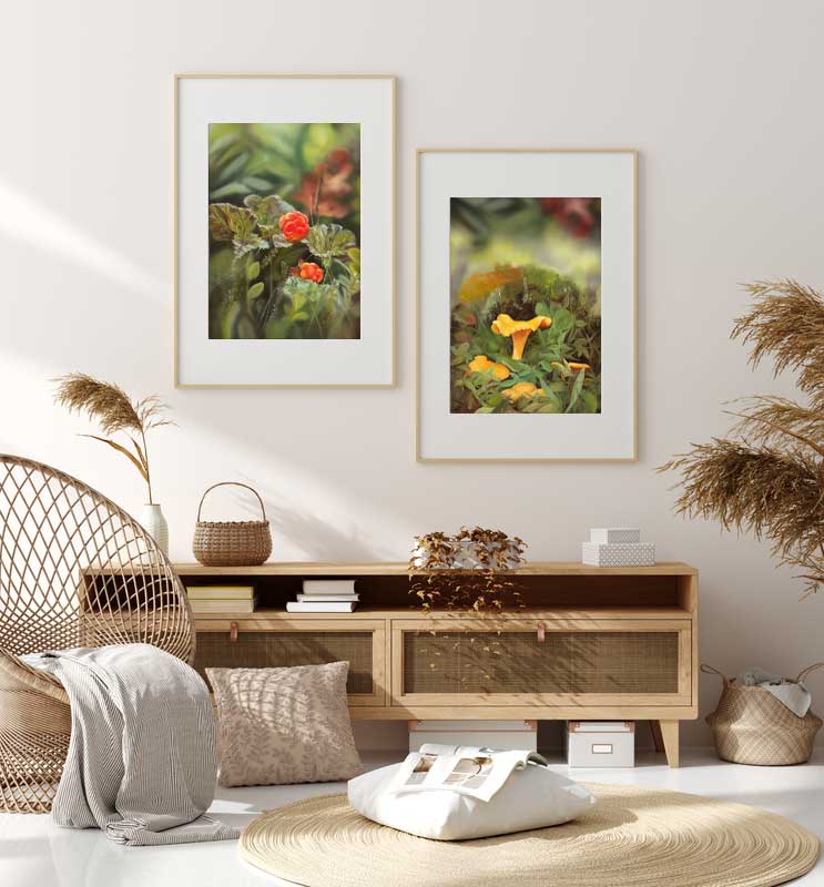 Kantareller 42x60
