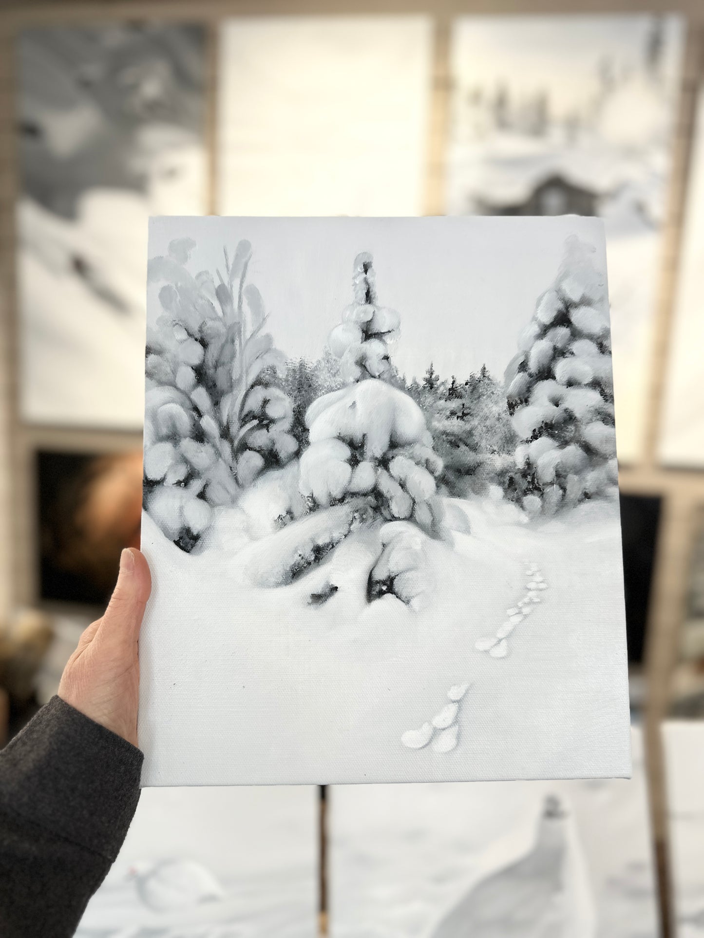 Haretrack 27x33