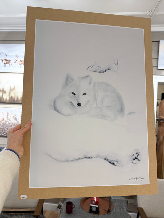 Arctic fox 42x60