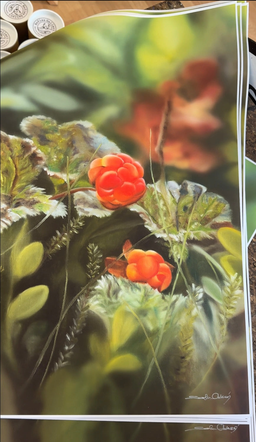 Hjortron 42x60