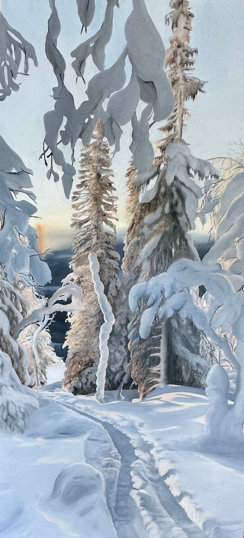 60x120
