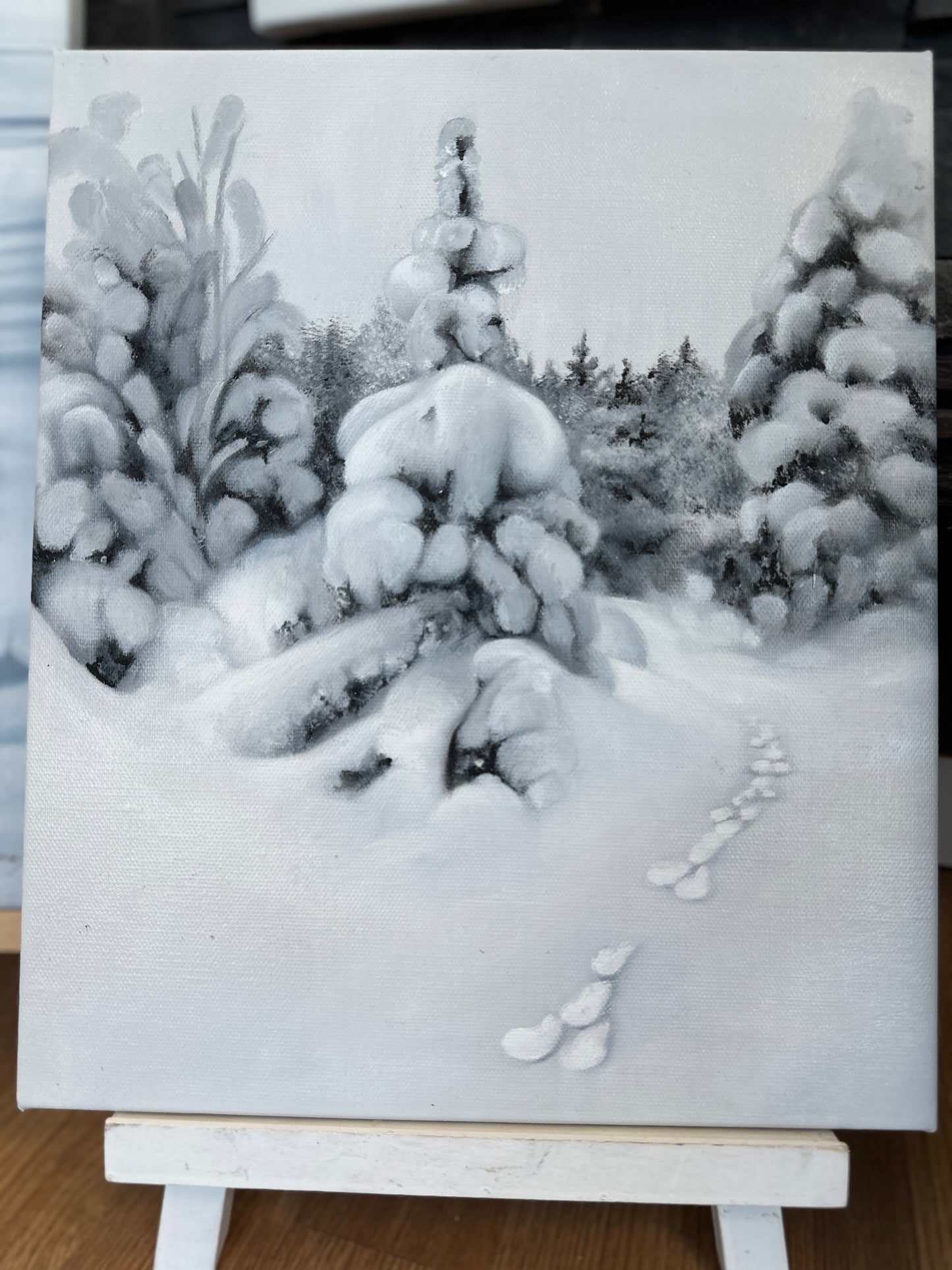 Haretrack 27x33