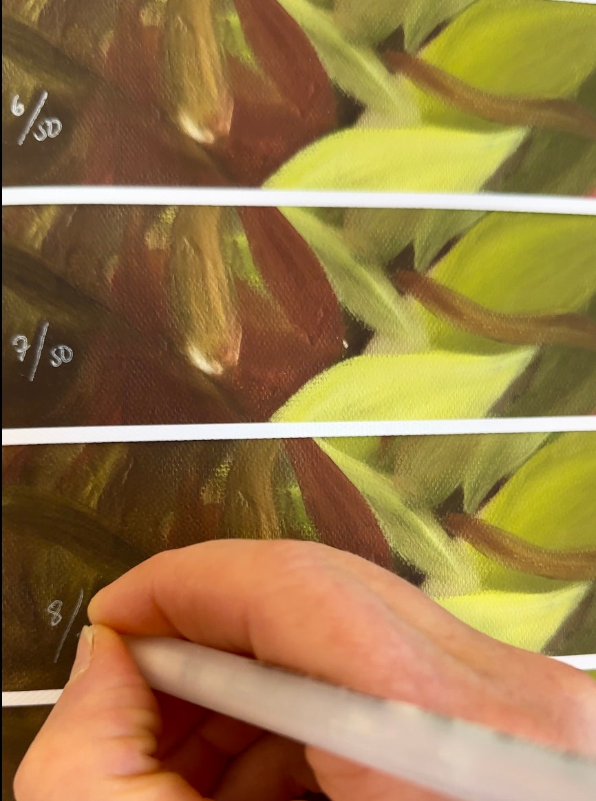 Kantareller 42x60