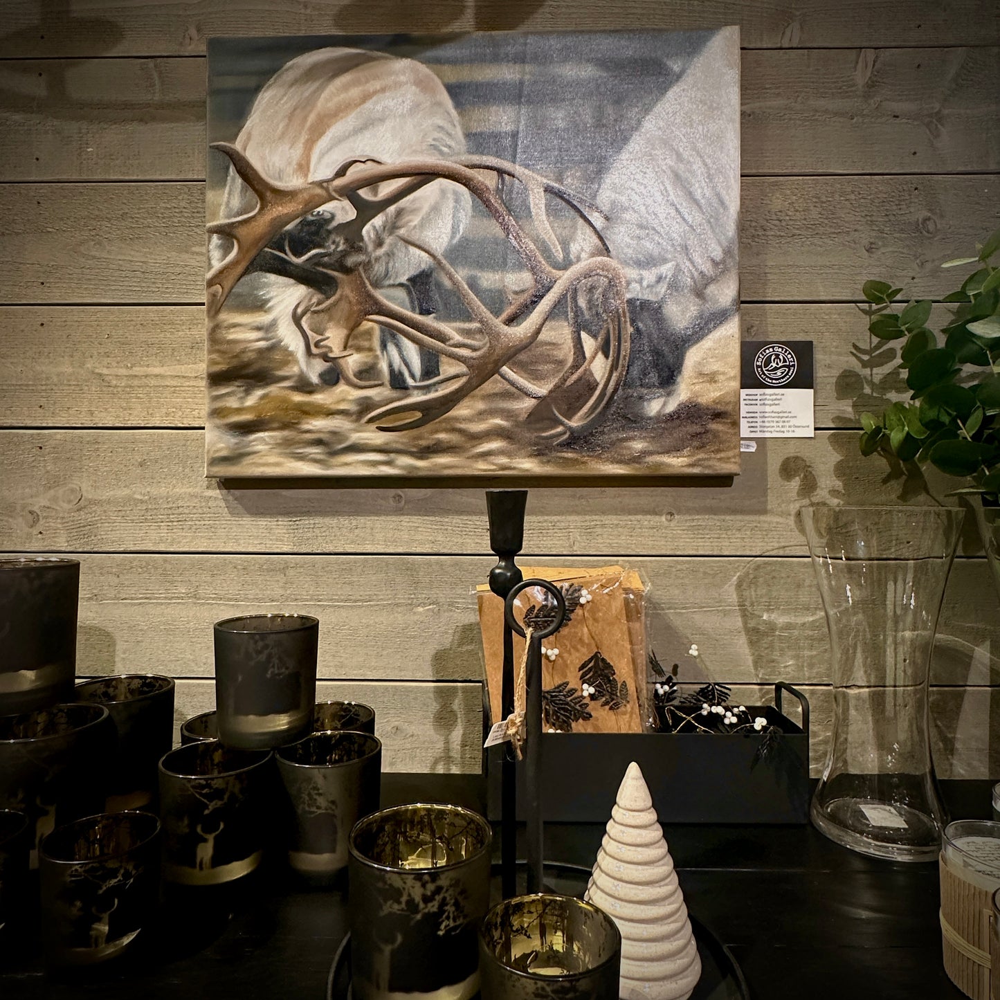 Renhorn 60x50