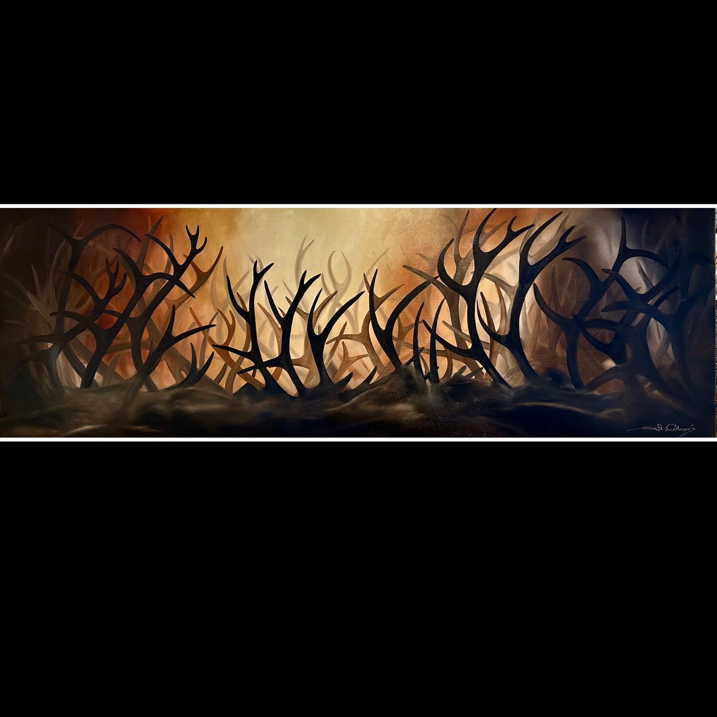 150x50