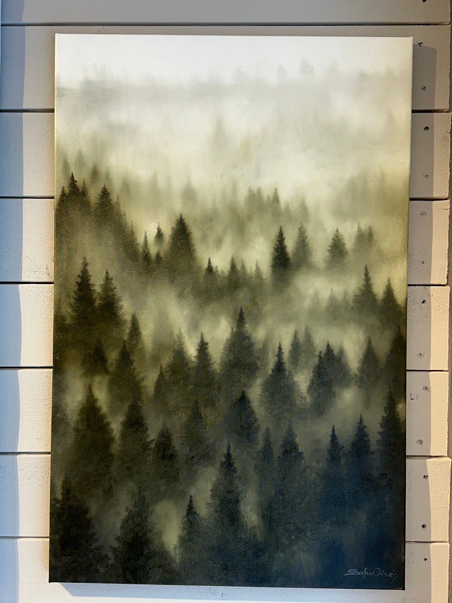 49x75