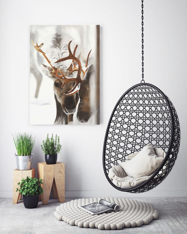 50x70