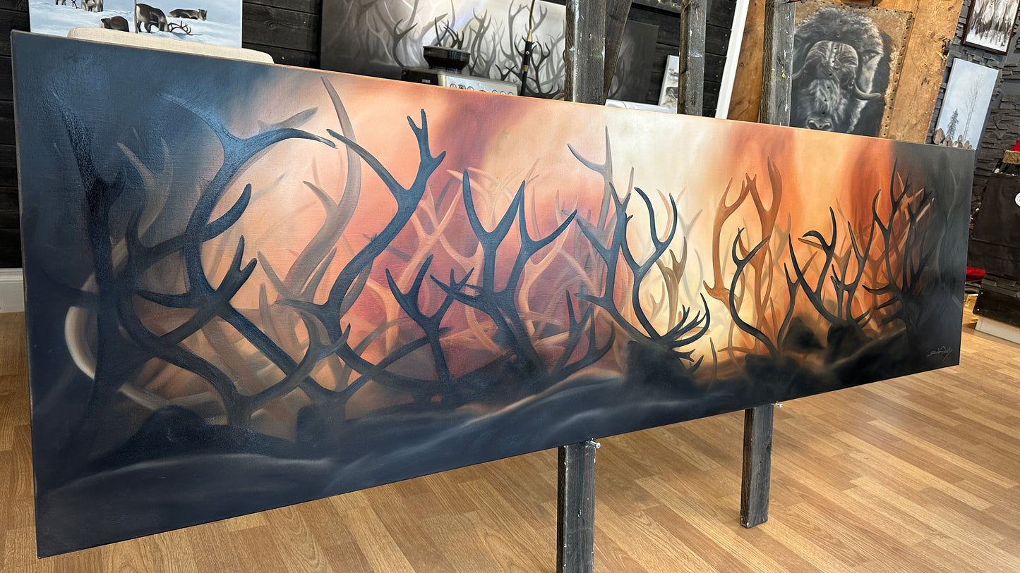 200x55