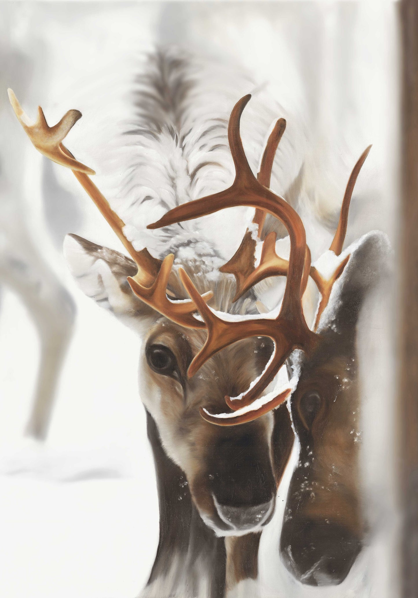 Ren-kärlek/ Reindeer-love 42x60