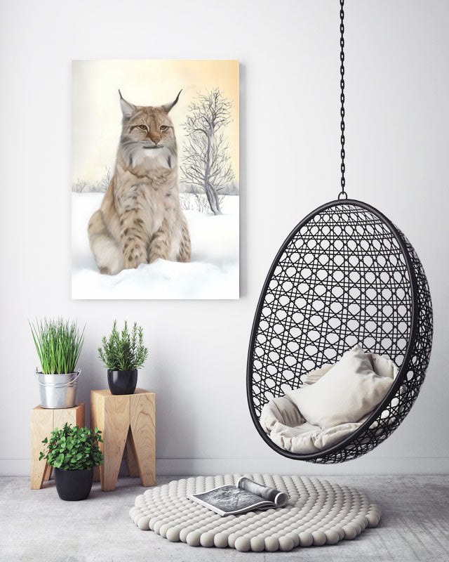 50x70
