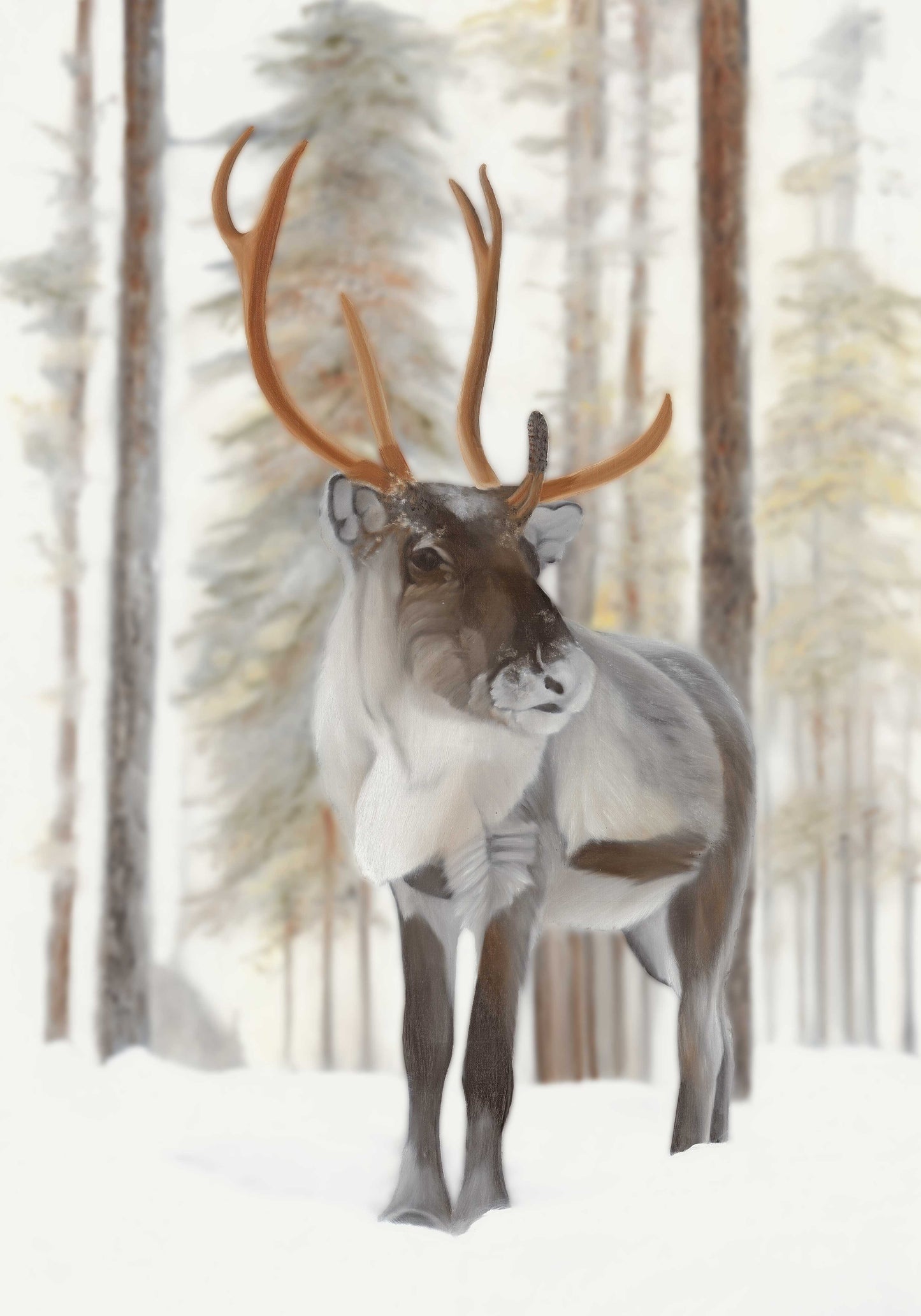 Stolt Ren/ Proud Reindeer 42x60
