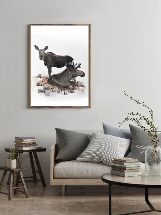 Moose 50x70