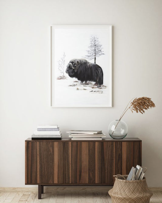 Musk ox 50x70
