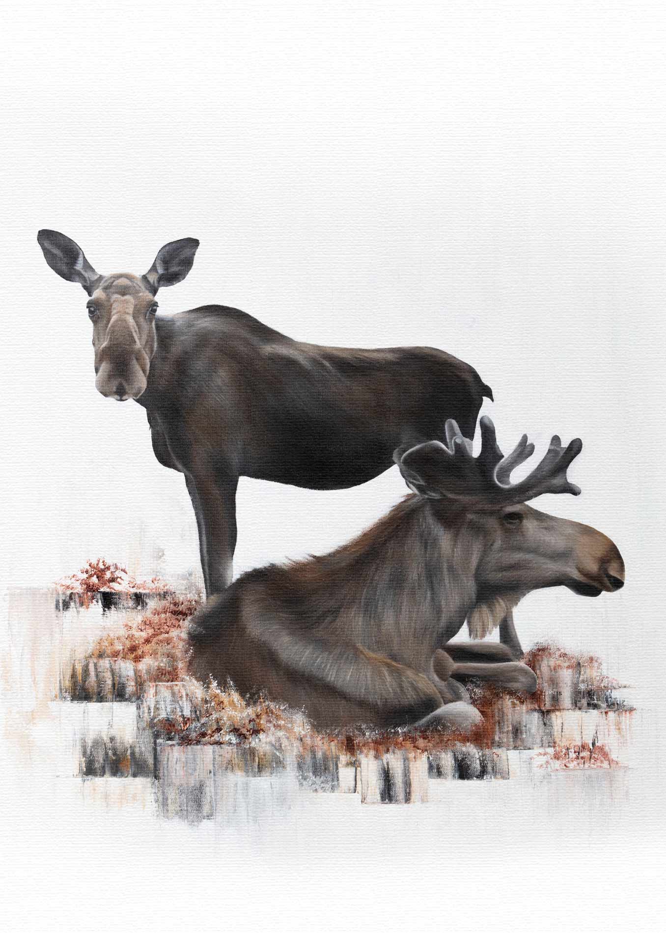 Älg / Moose 50x70