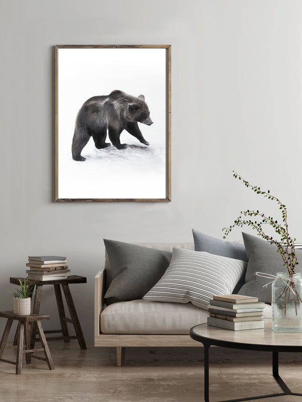 Bear II 50x70