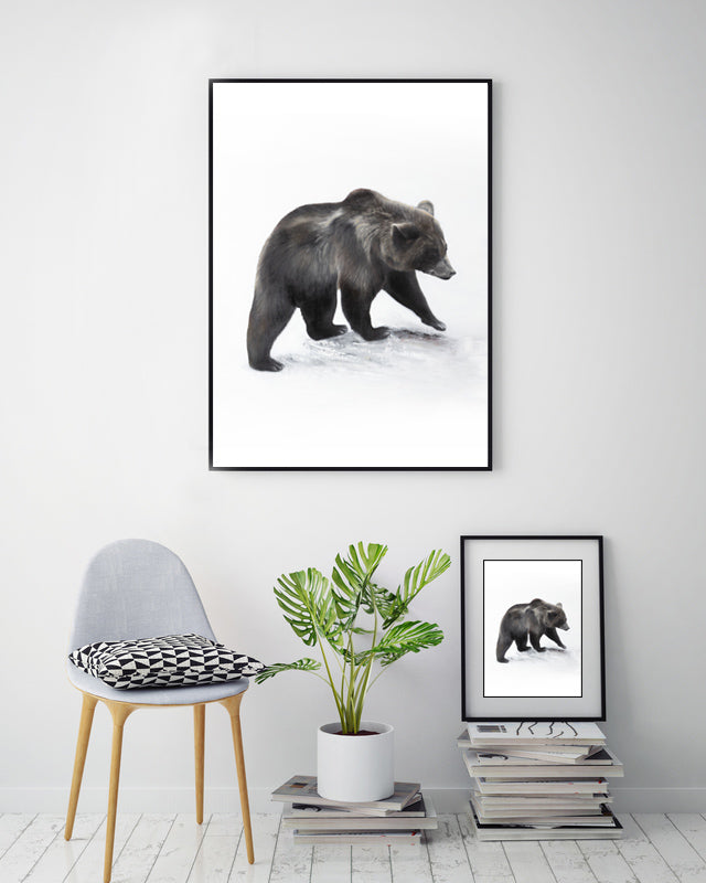 Bear II 50x70