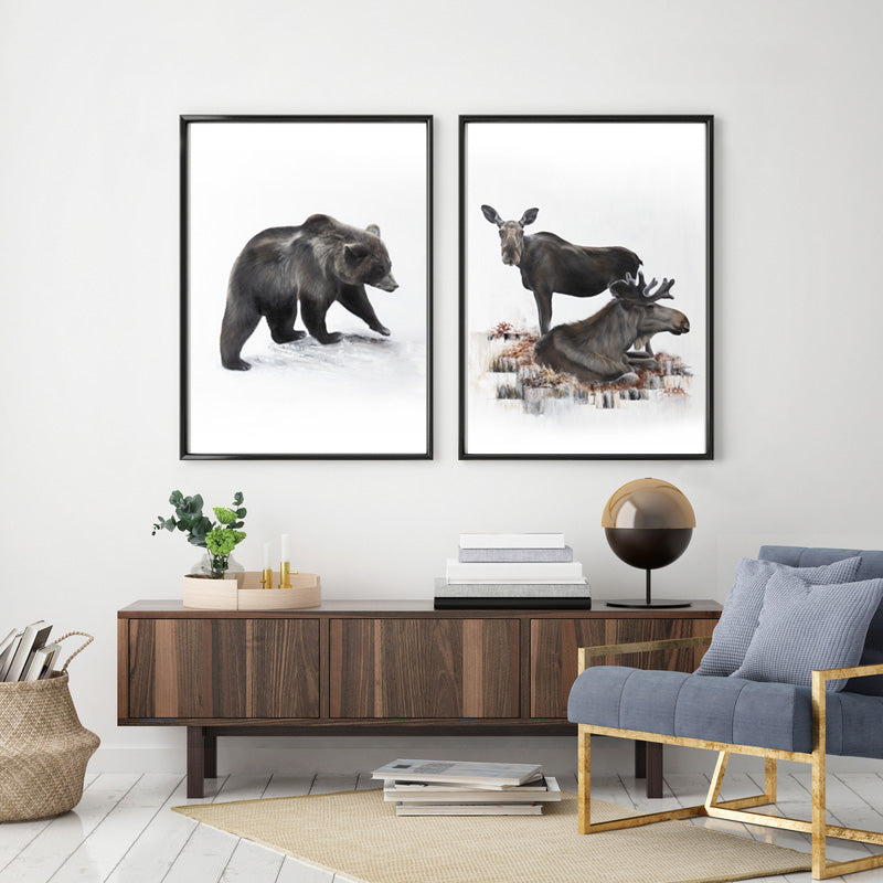 Bear II 50x70