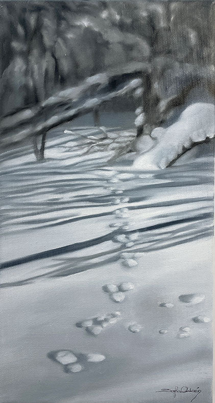 23x43