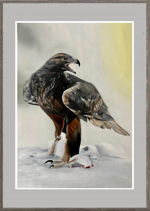 Kungsörn / Golden eagle 42x60