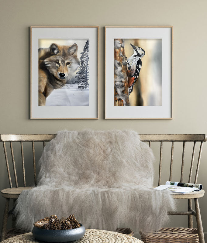 Vitryggig hackspett / white-backed woodpecker 42x60