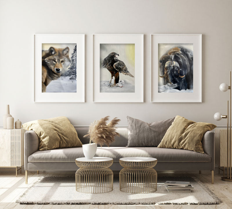 Kungsörn / Golden eagle 42x60