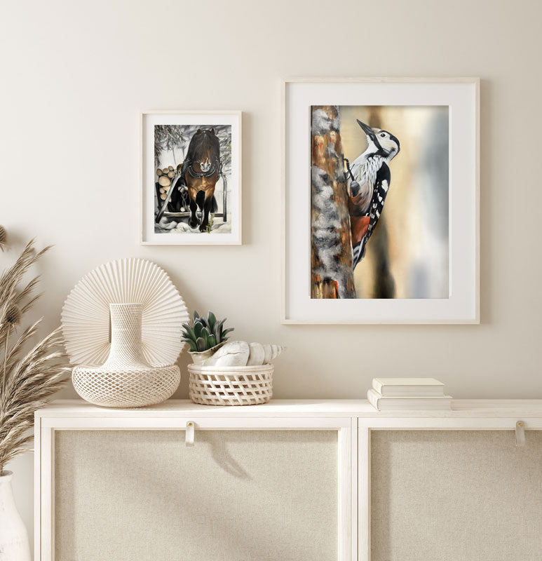 Vitryggig hackspett / white-backed woodpecker 42x60