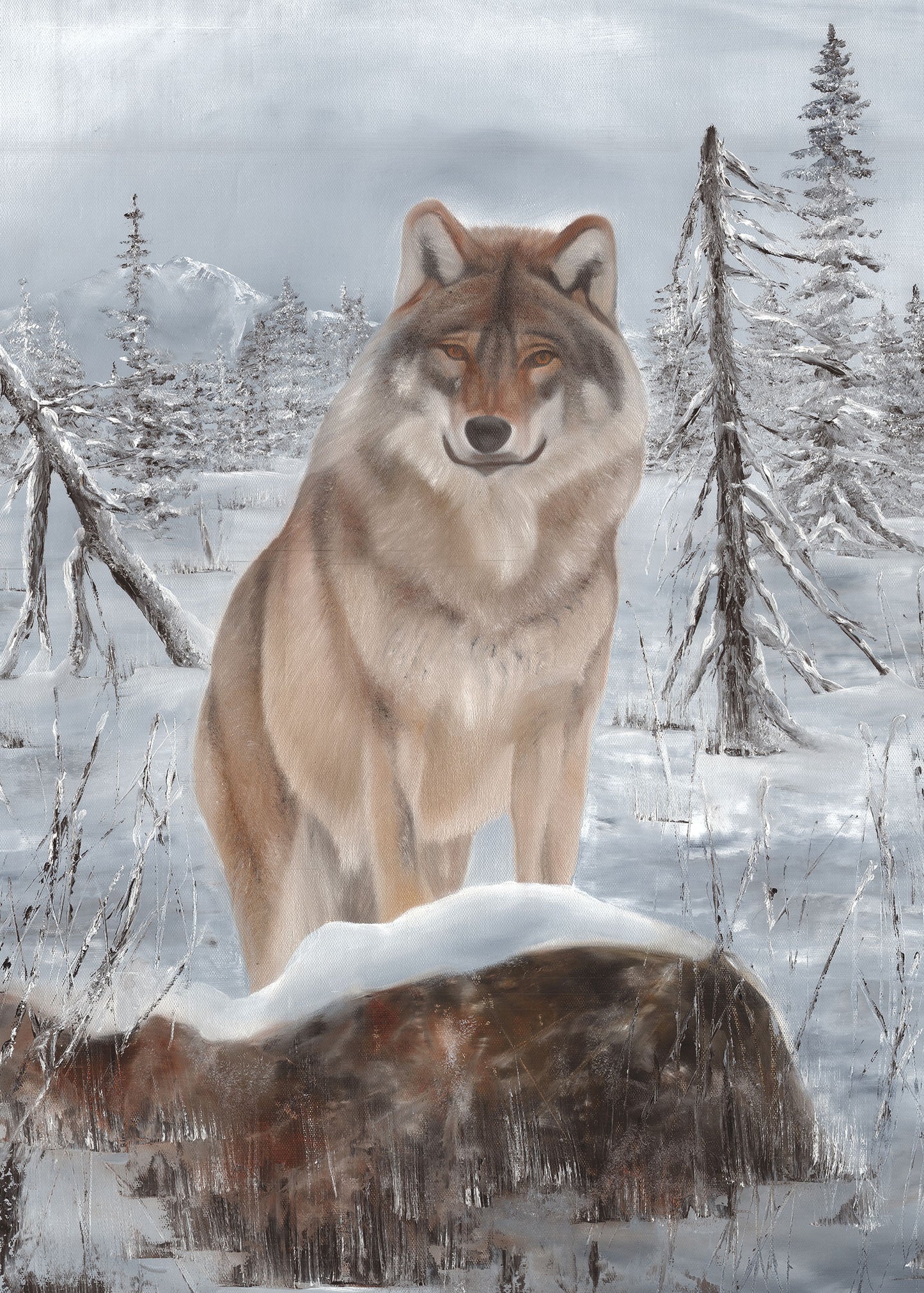 WOLF 50x70