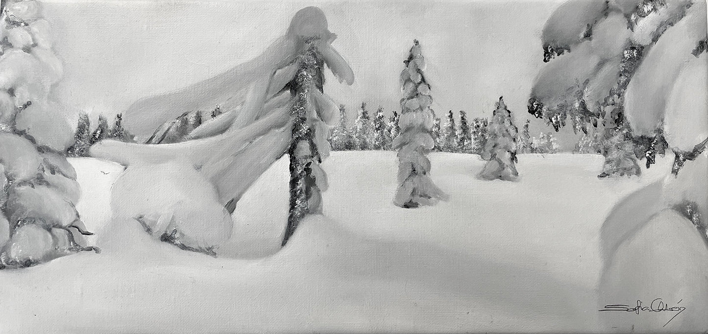 17x36