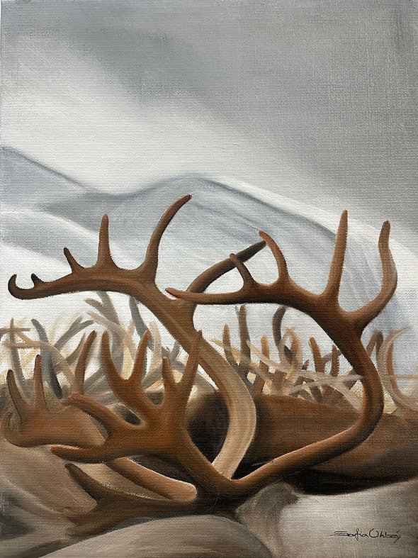 30x40