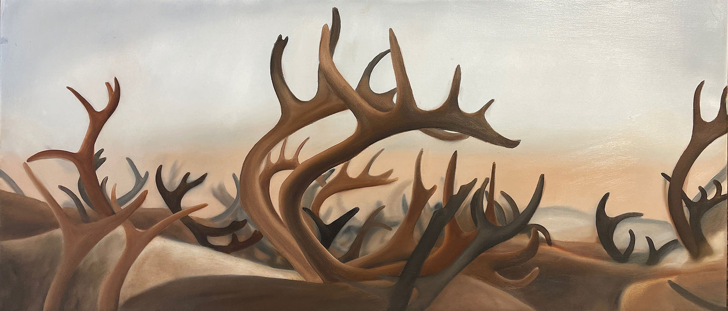 70x30