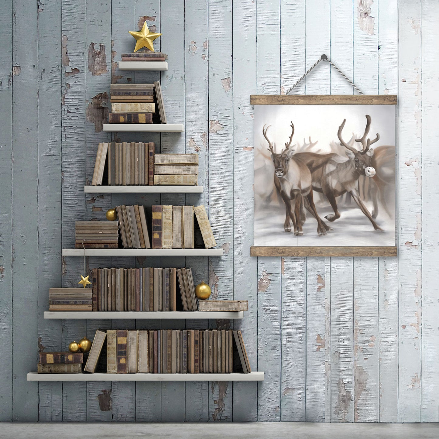 Reindeer Edition 1.5 50x50