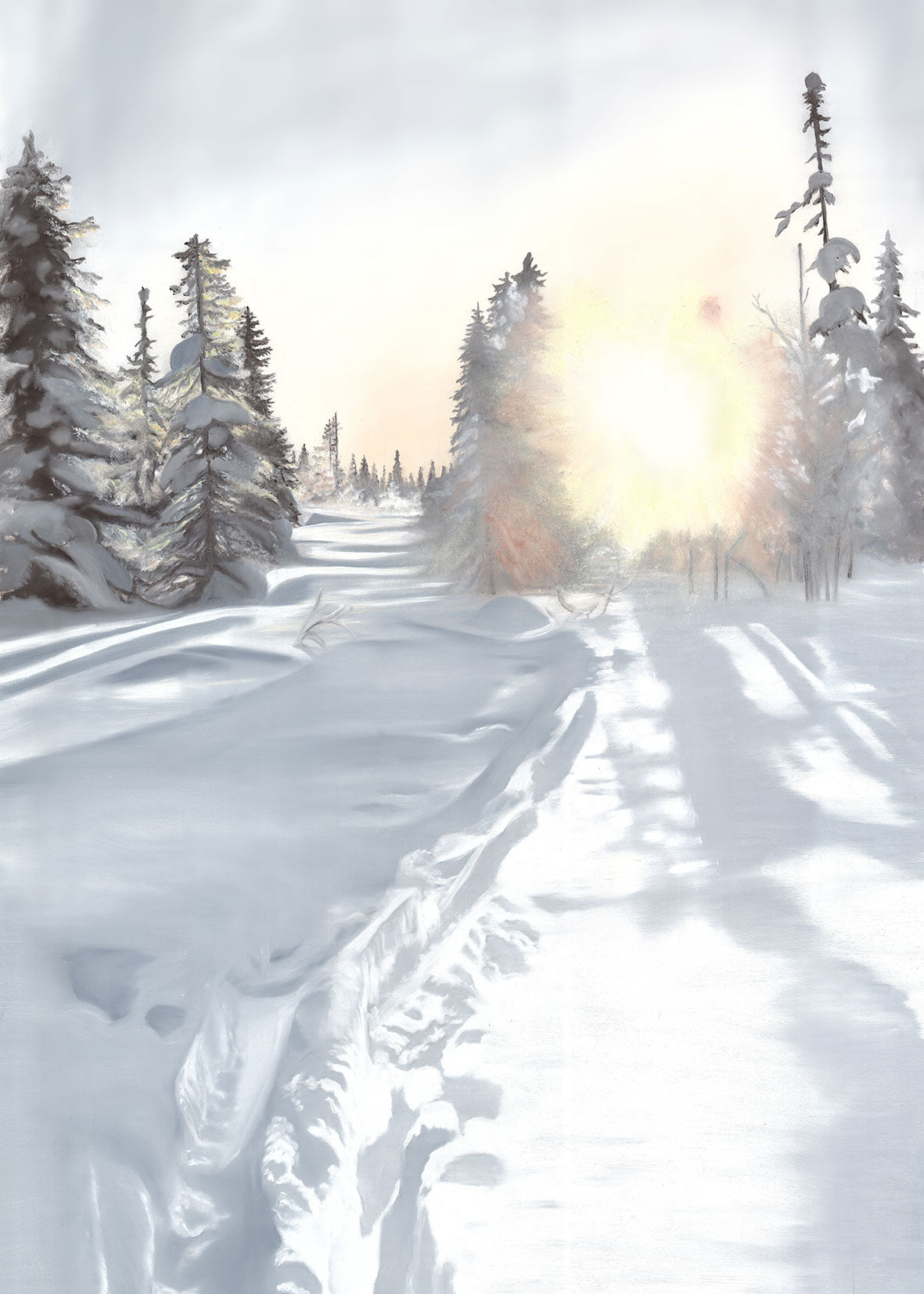 Winterlight Edition I 50x70