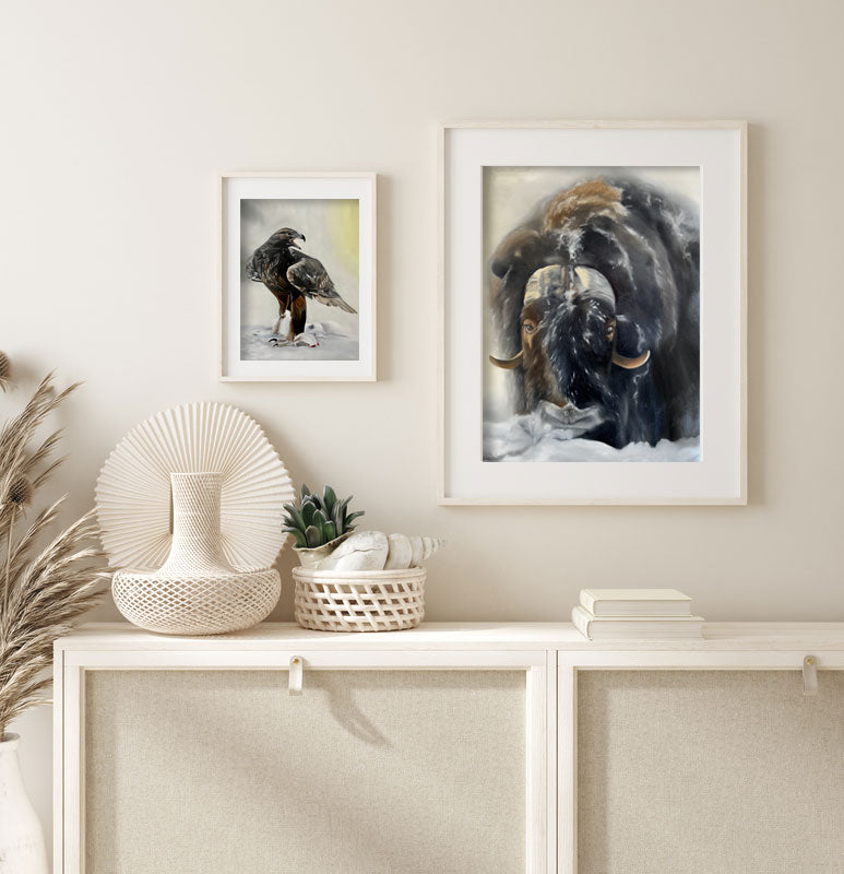 Myskoxe / Muskox 42x60