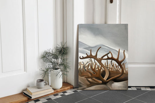 30x40