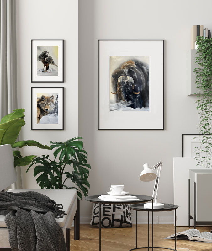 Myskoxe / Muskox 42x60