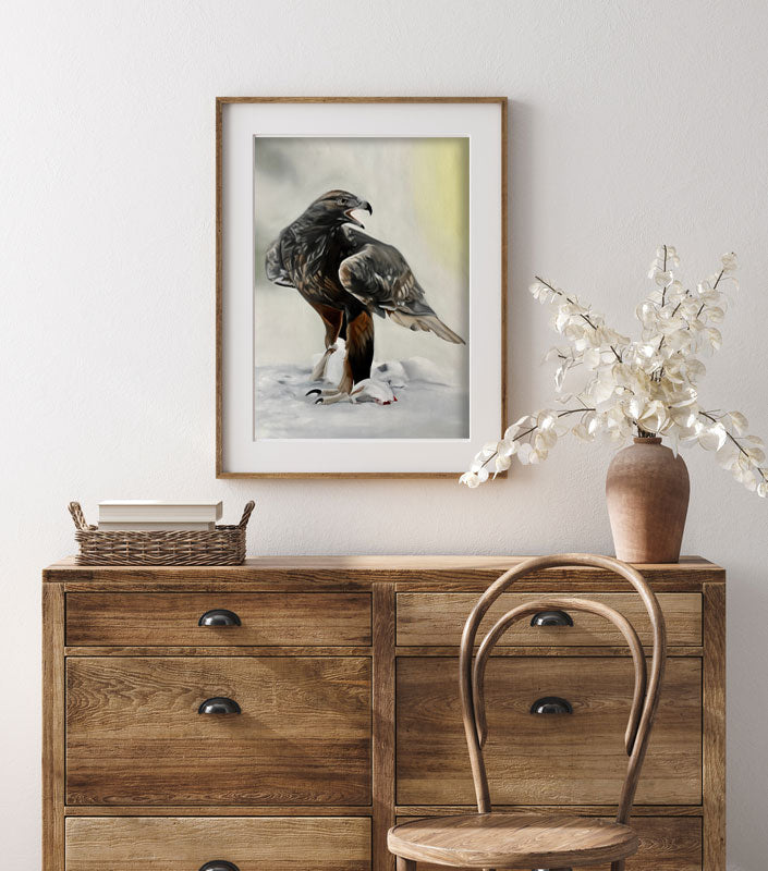 Kungsörn / Golden eagle 42x60