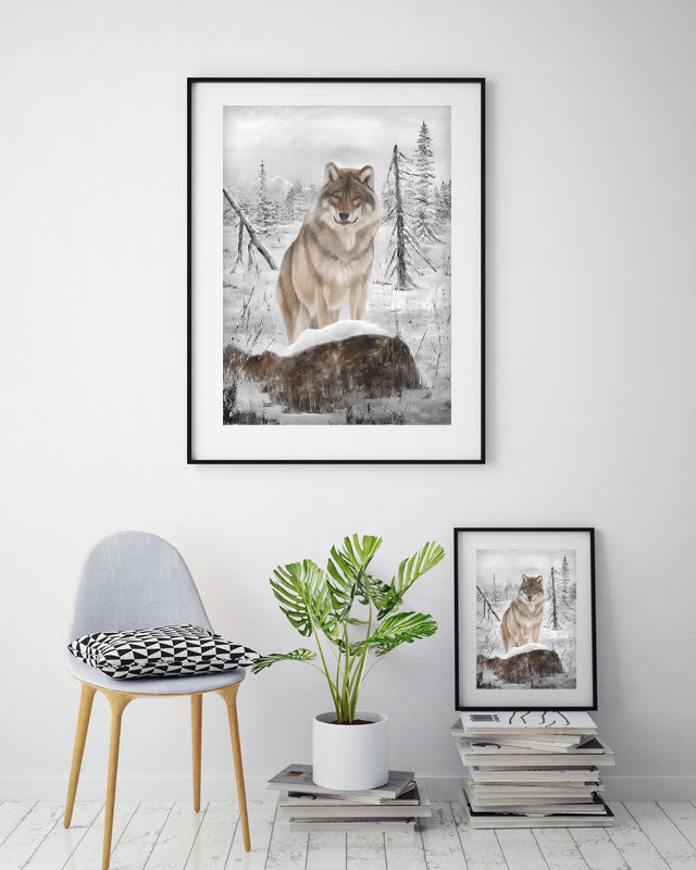Wolf 42x60