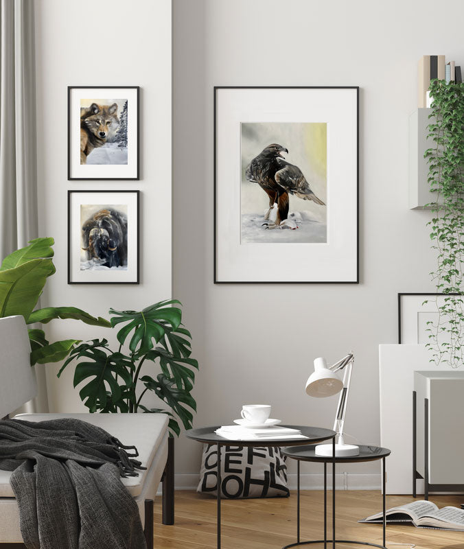 Kungsörn / Golden eagle 42x60