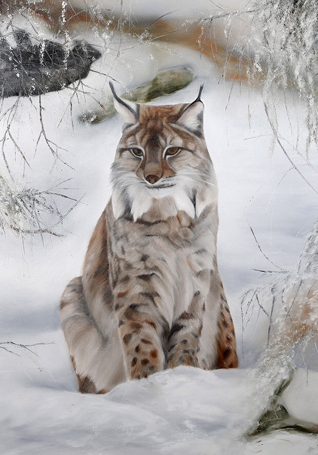 Lynx/Lo