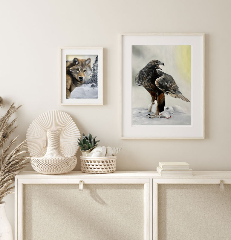 Kungsörn / Golden eagle 42x60